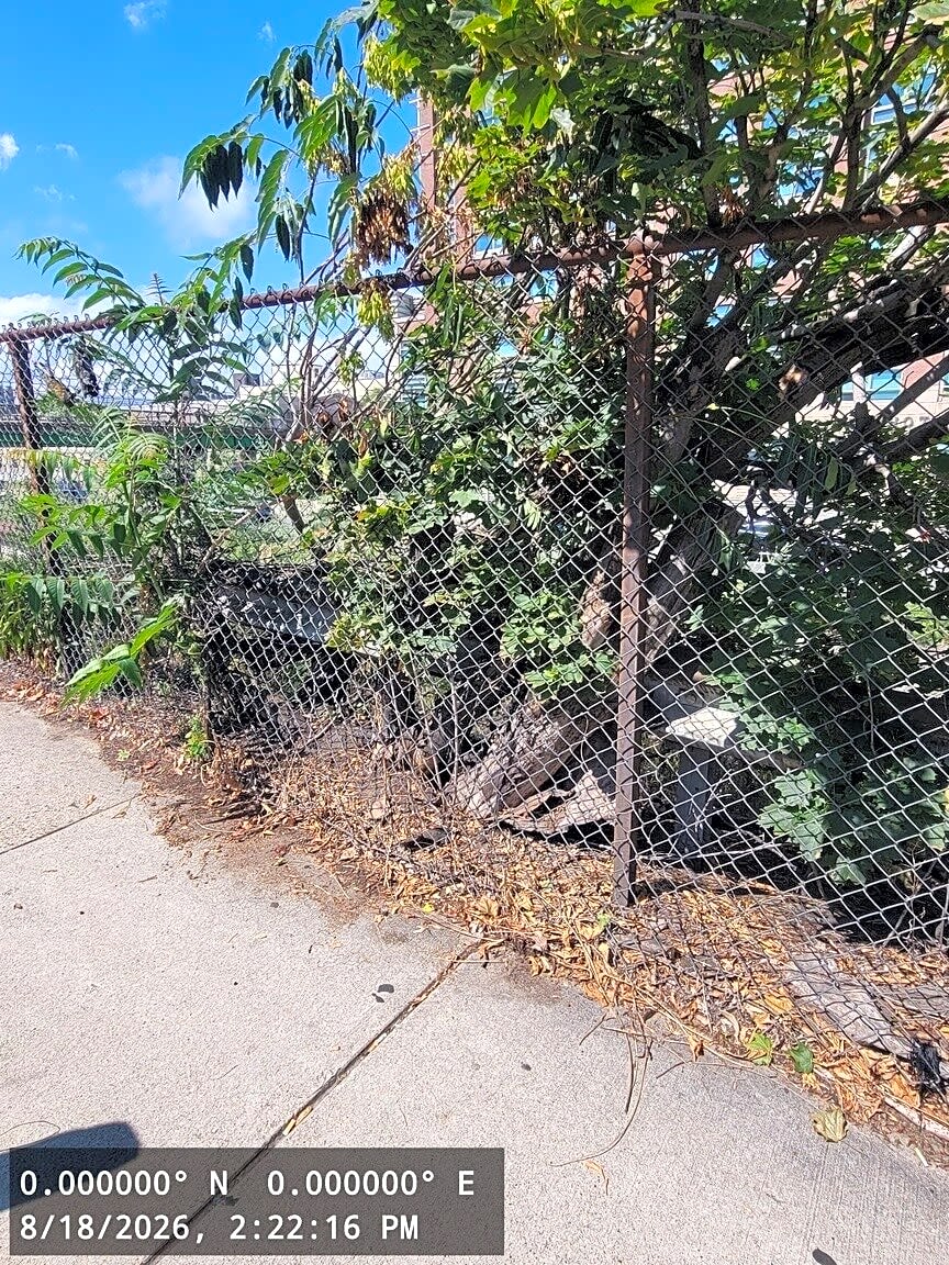 Image submitted with report