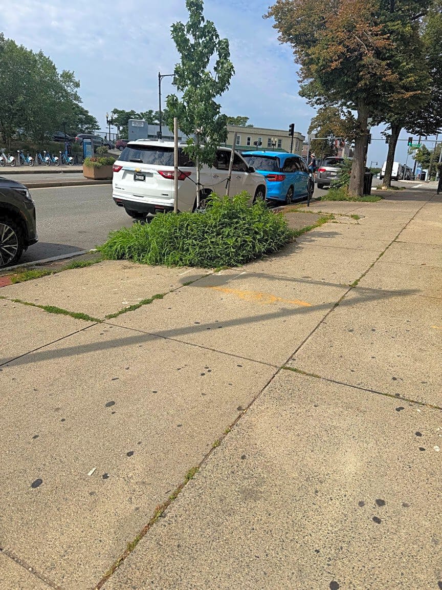 Image submitted with report