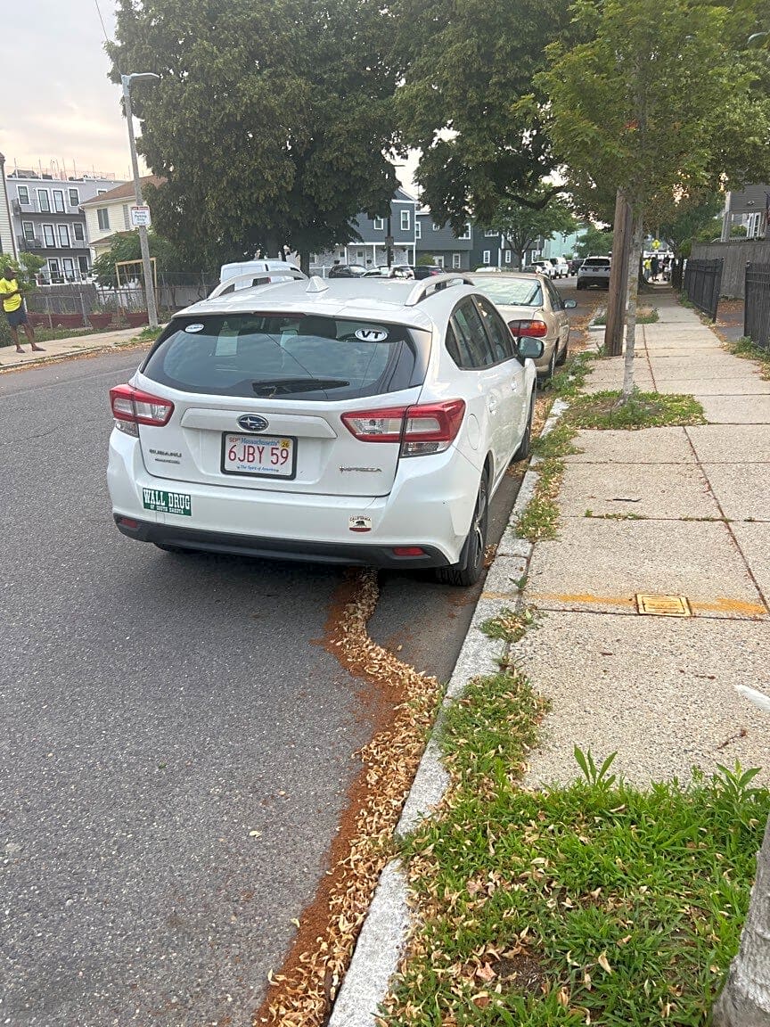 Image submitted with report
