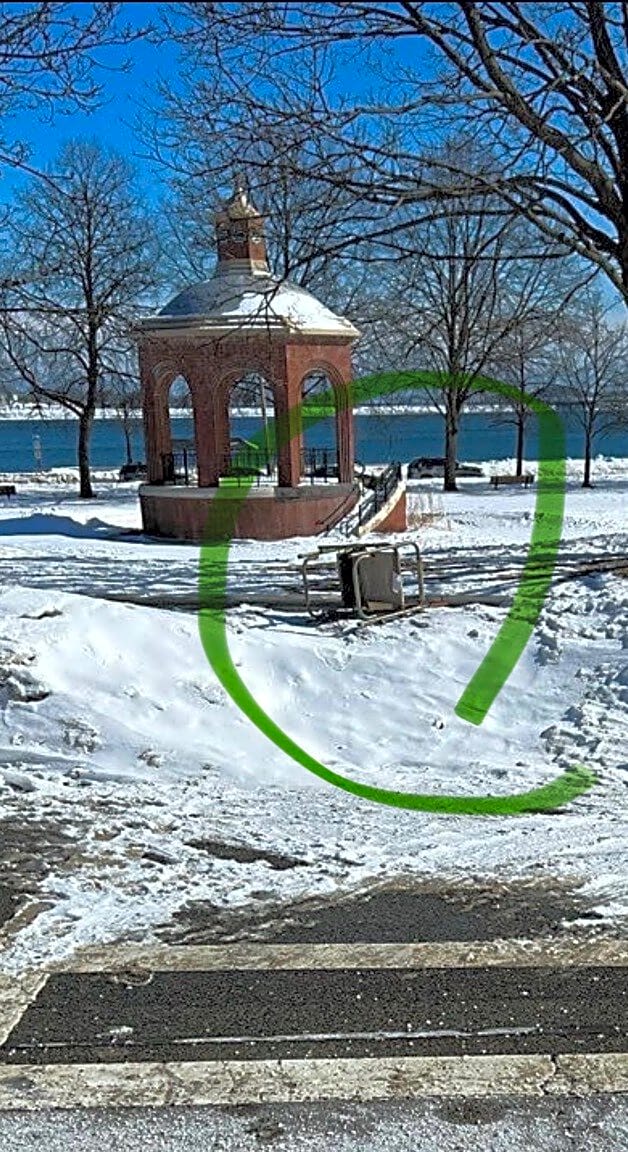 Image submitted with report