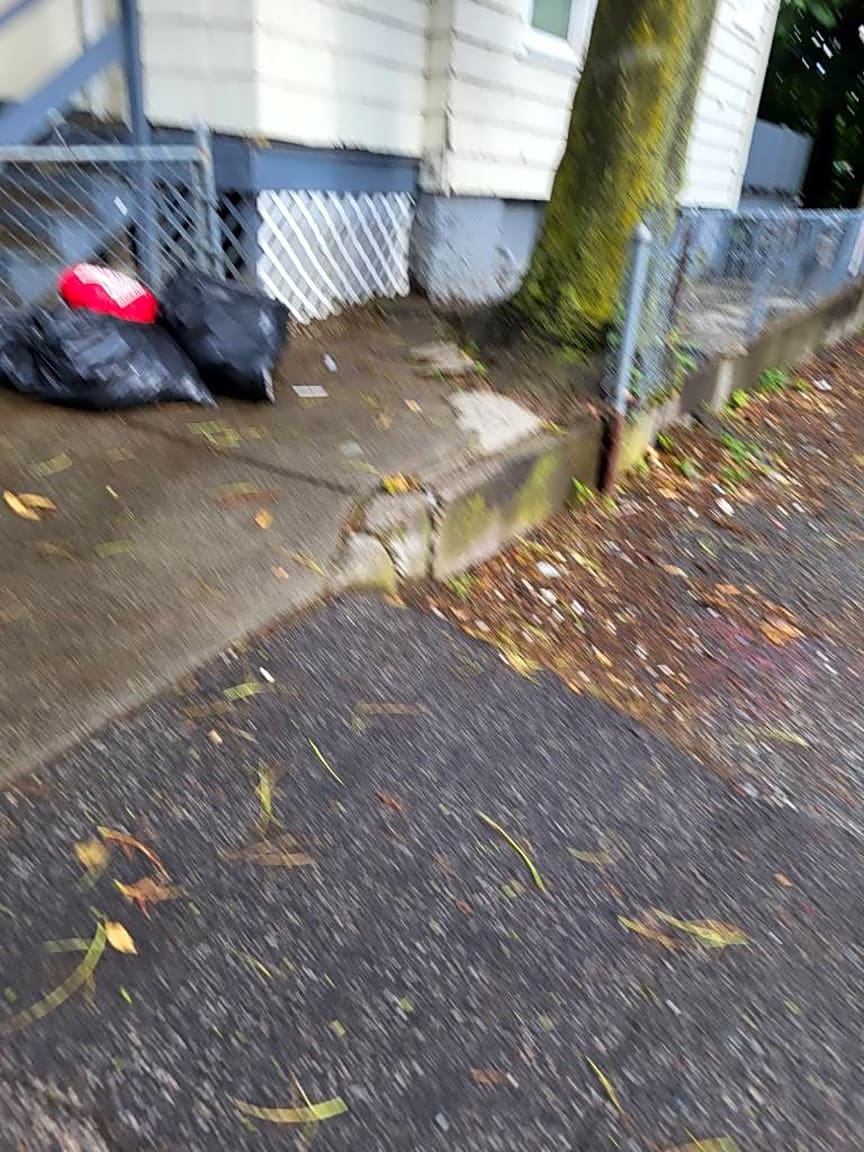 Image submitted with report