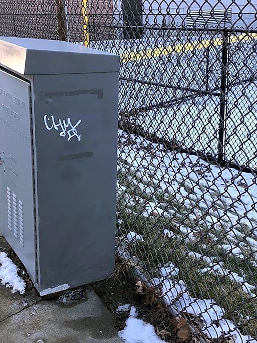 Image submitted with report