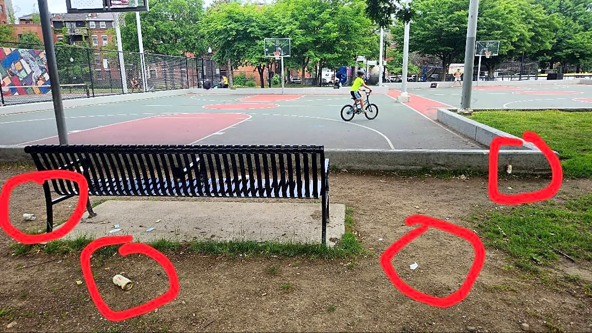 Image submitted with report
