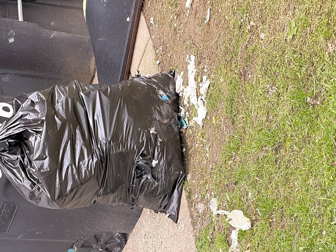 Image submitted with report