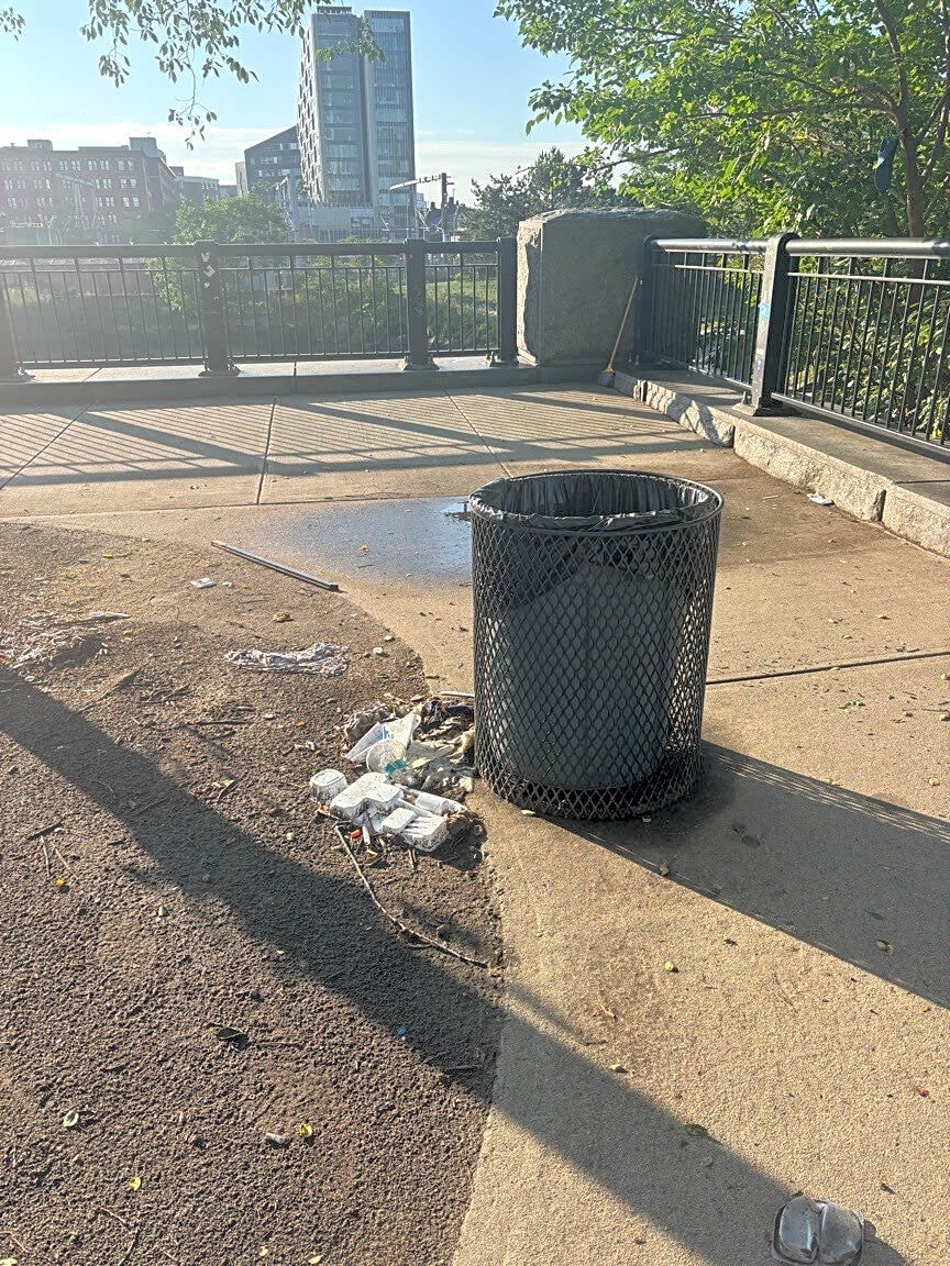 Image submitted with report