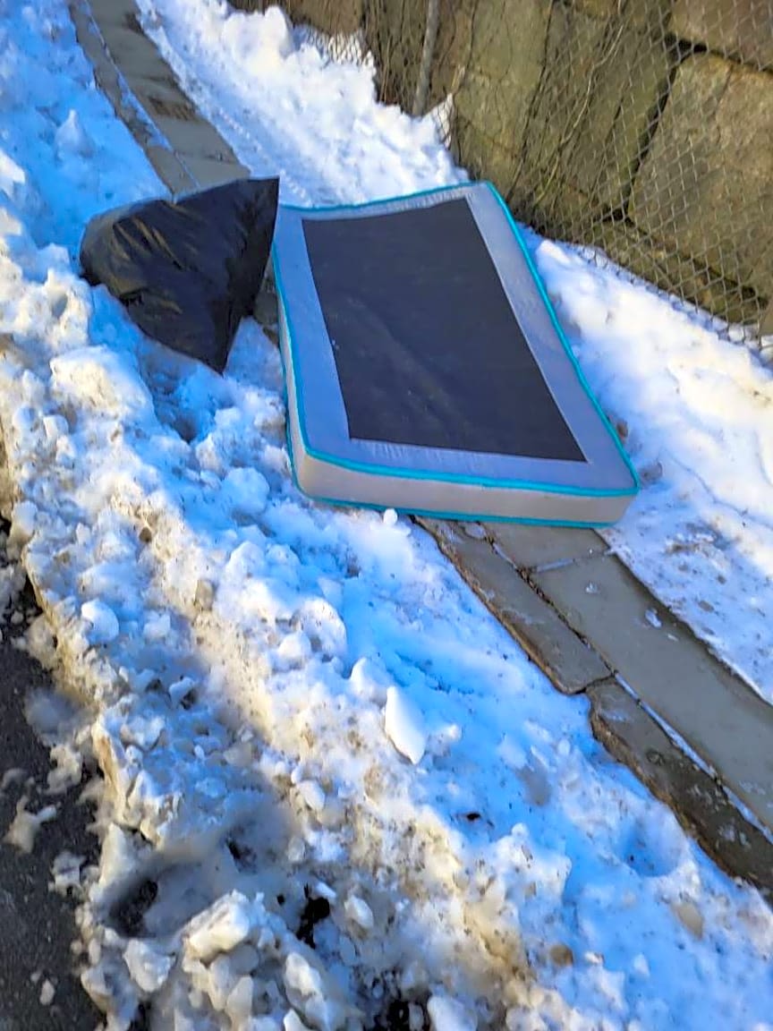 Image submitted with report