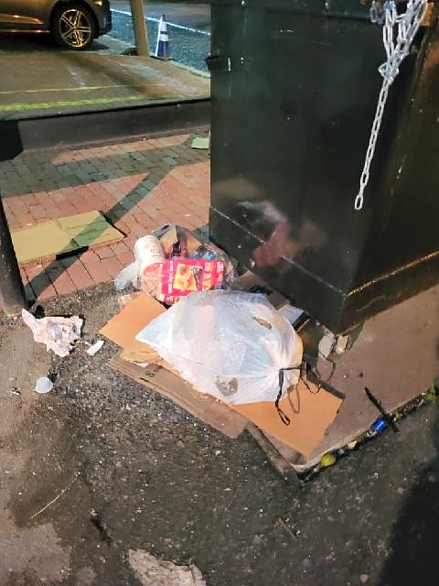 Image submitted with report