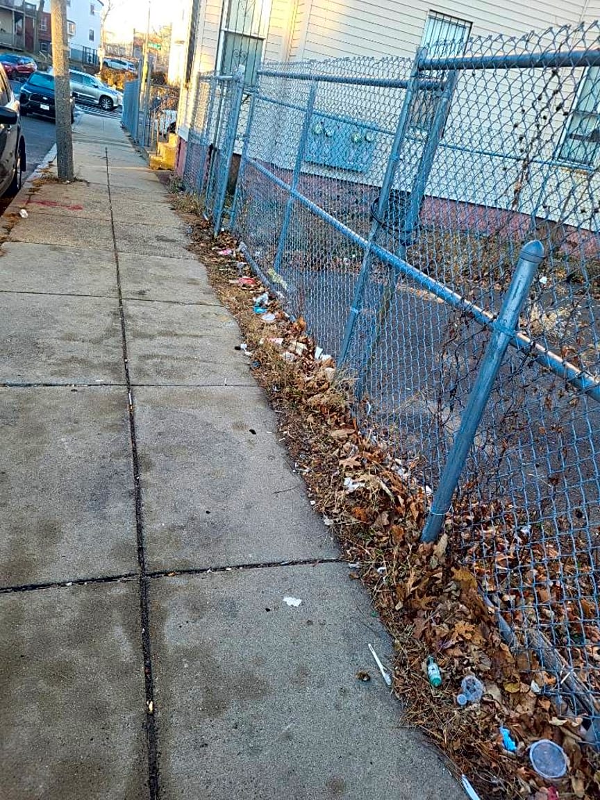 Image submitted with report