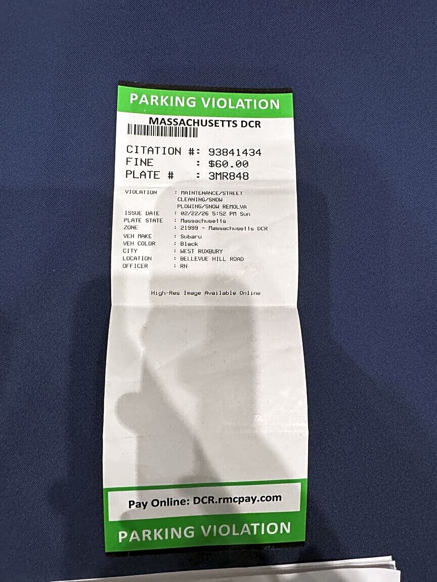 Image submitted with report