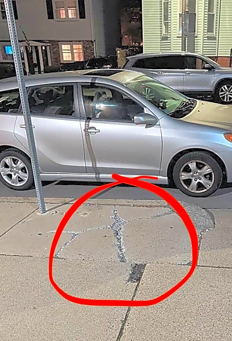 Image submitted with report