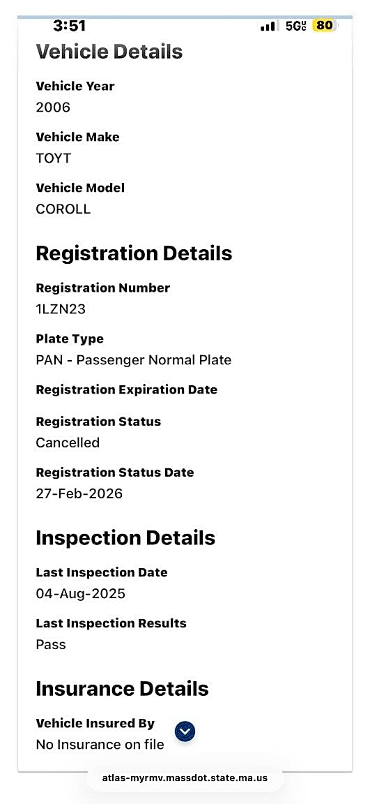 Image submitted with report