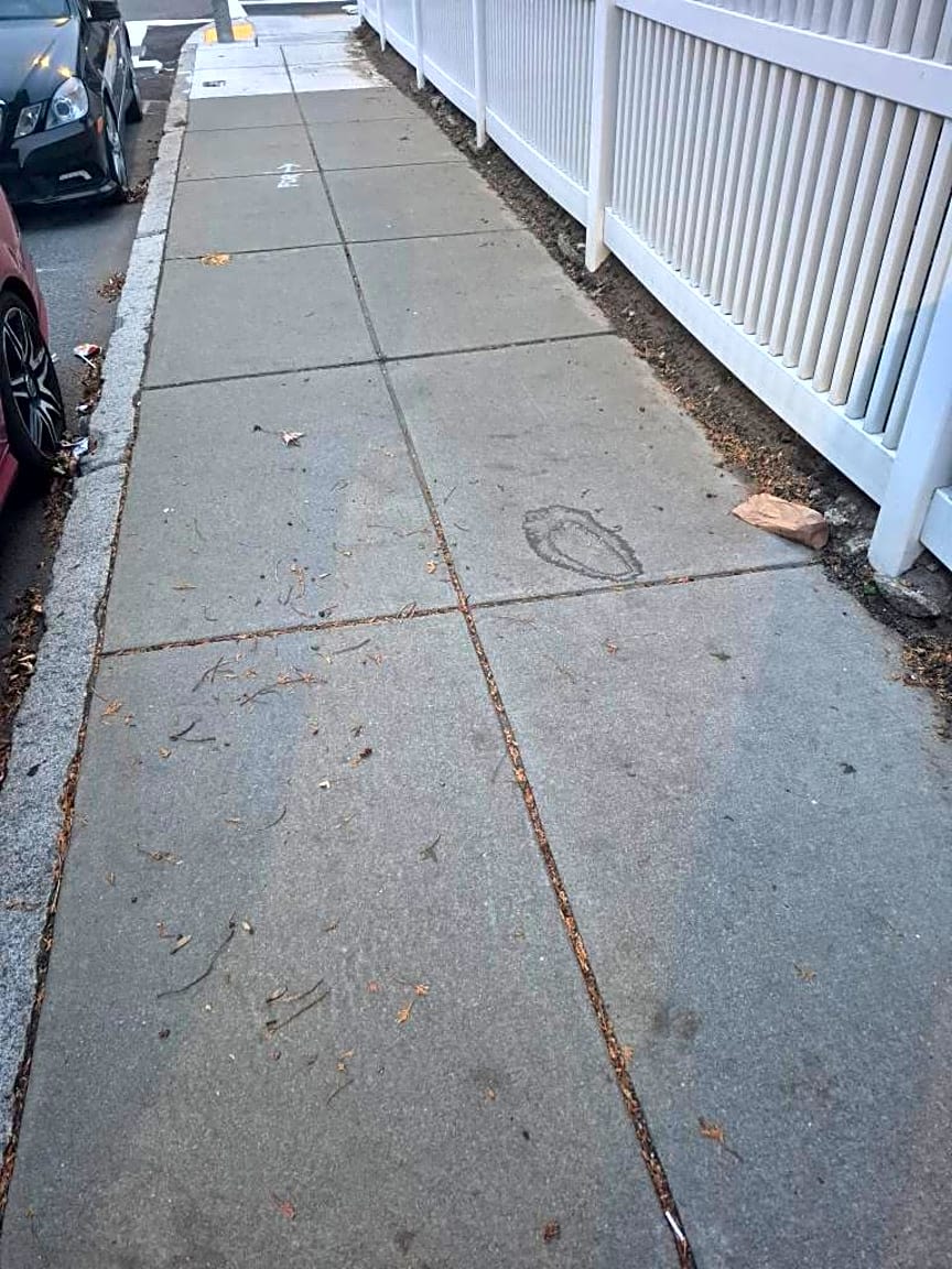 Image submitted with report