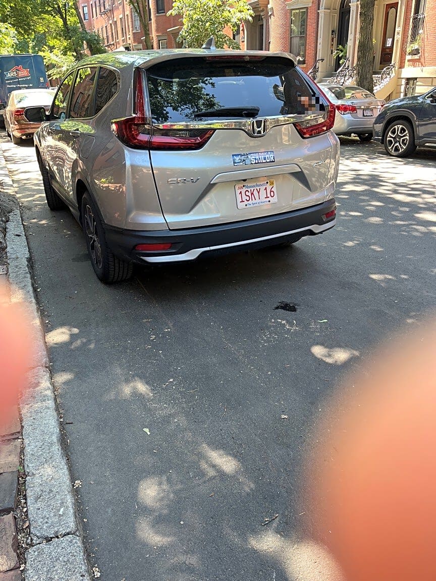 Image submitted with report