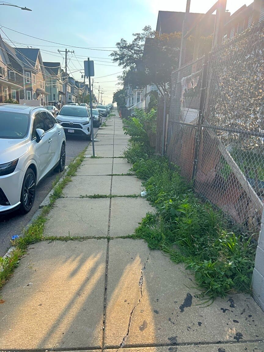 Image submitted with report
