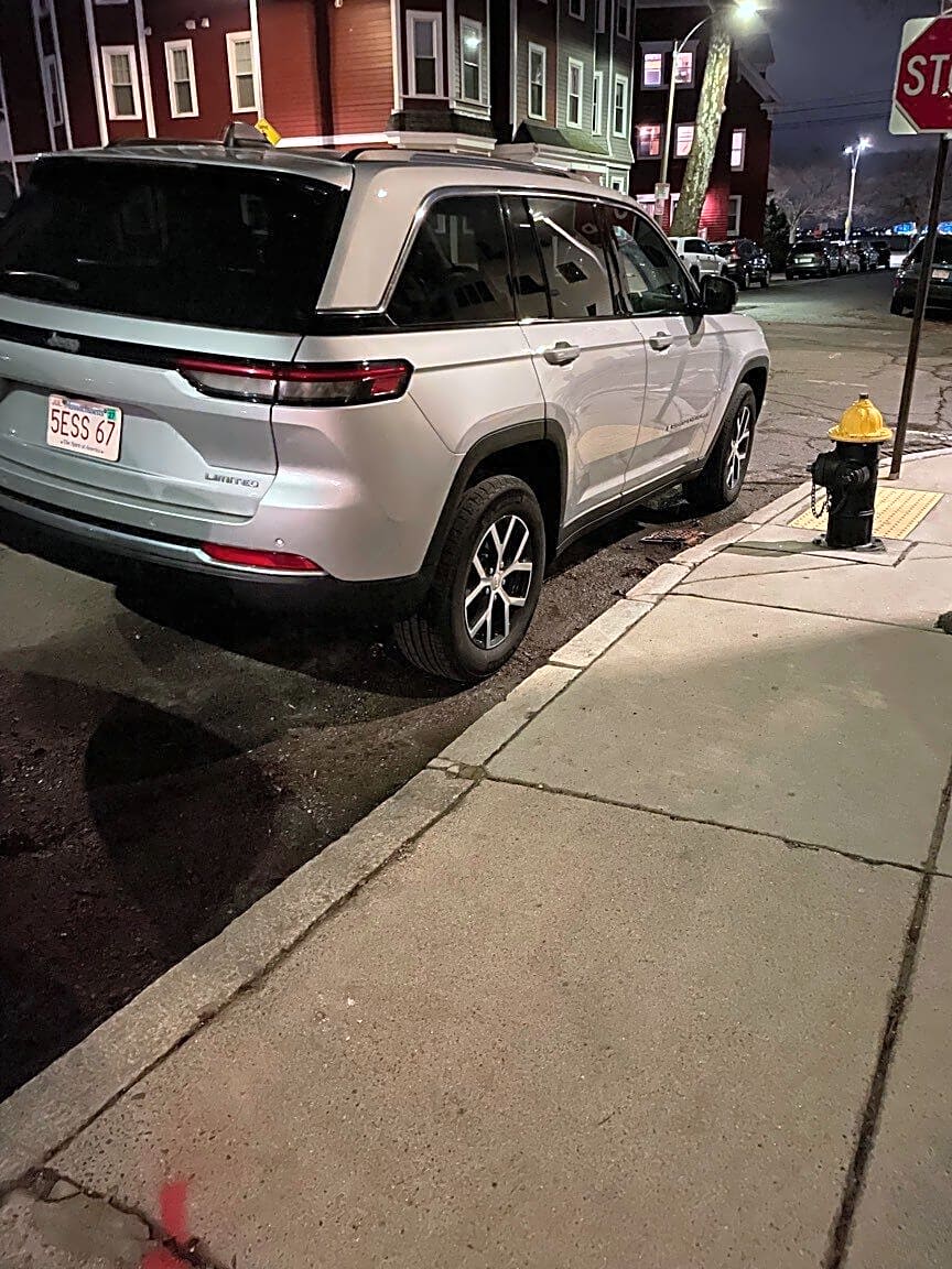 Image submitted with report