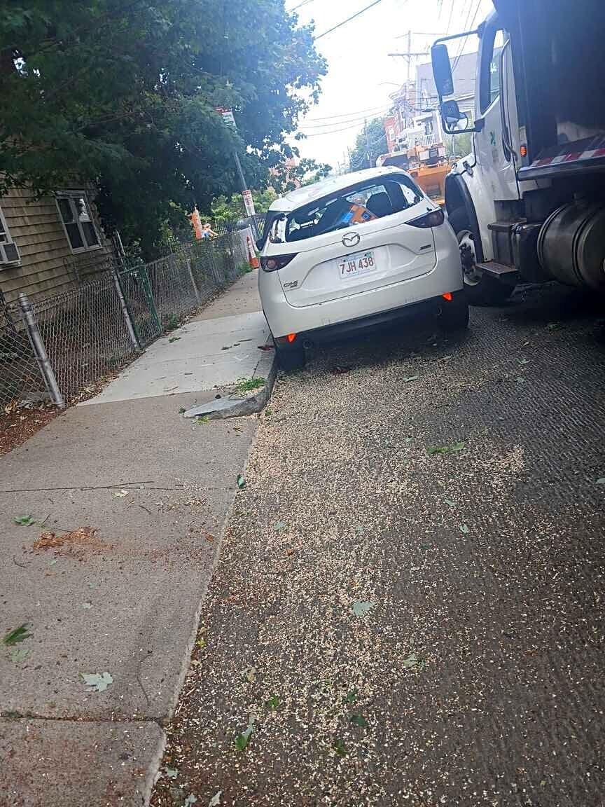 Image submitted with report