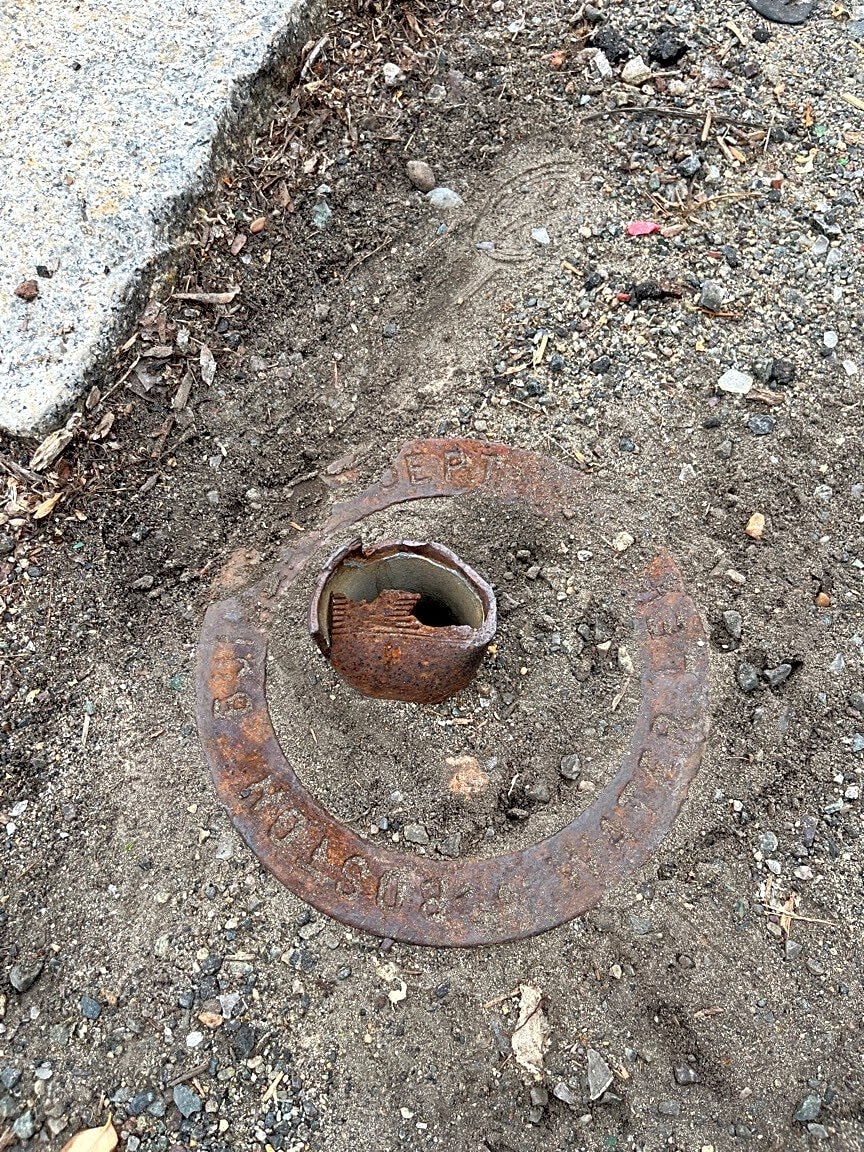 Image submitted with report