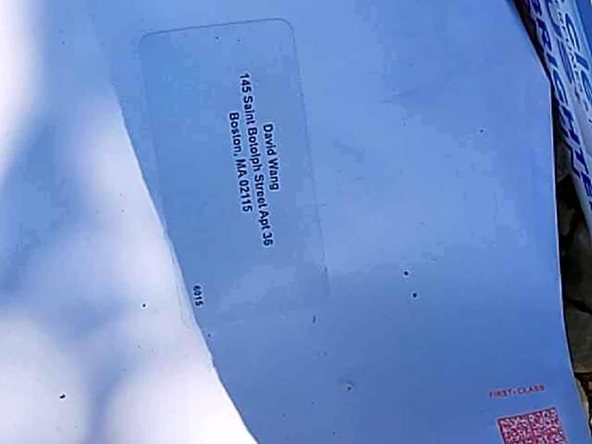 Image submitted with report