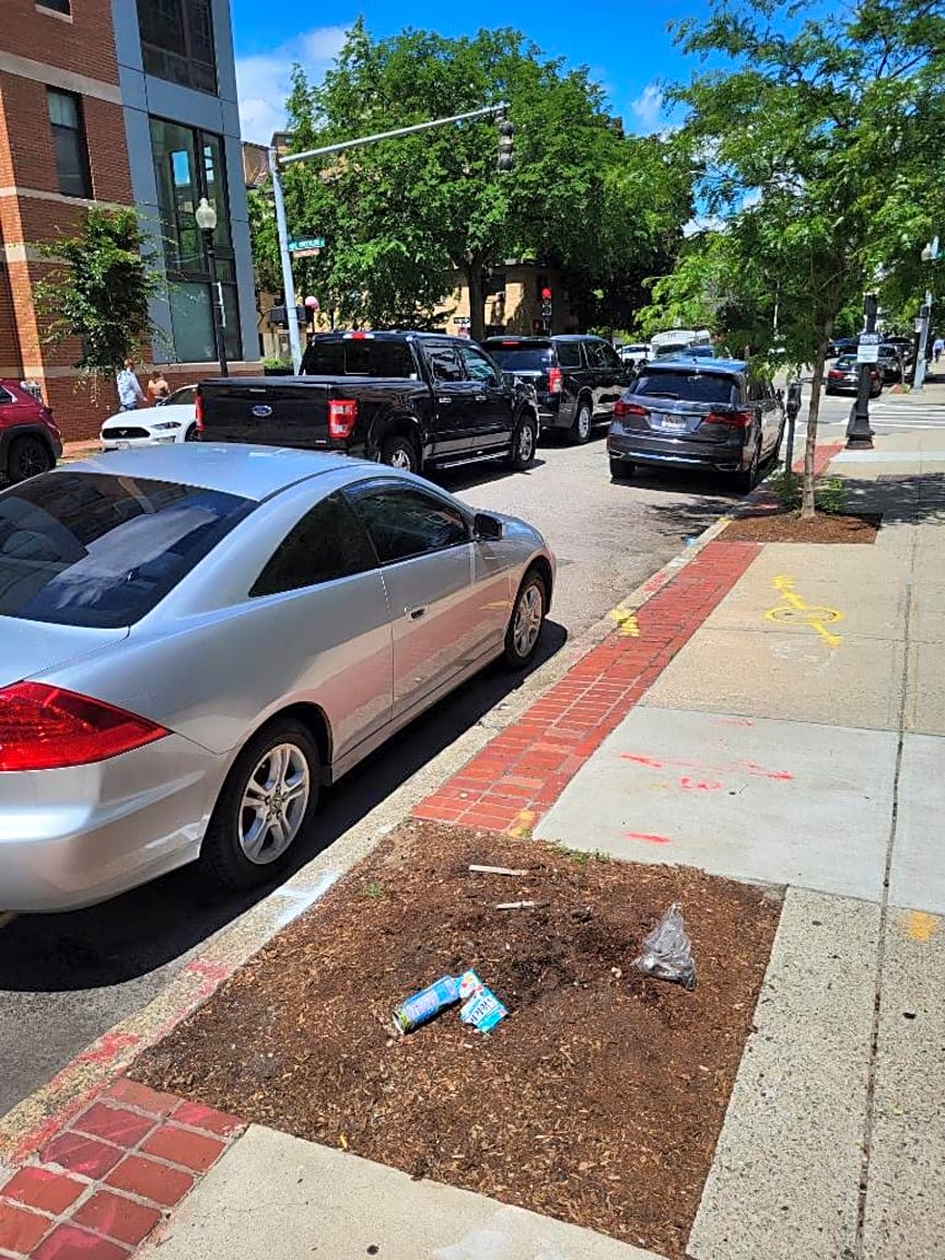 Image submitted with report