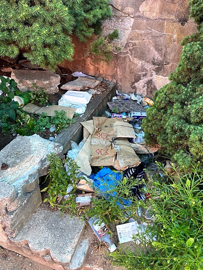 Image submitted with report