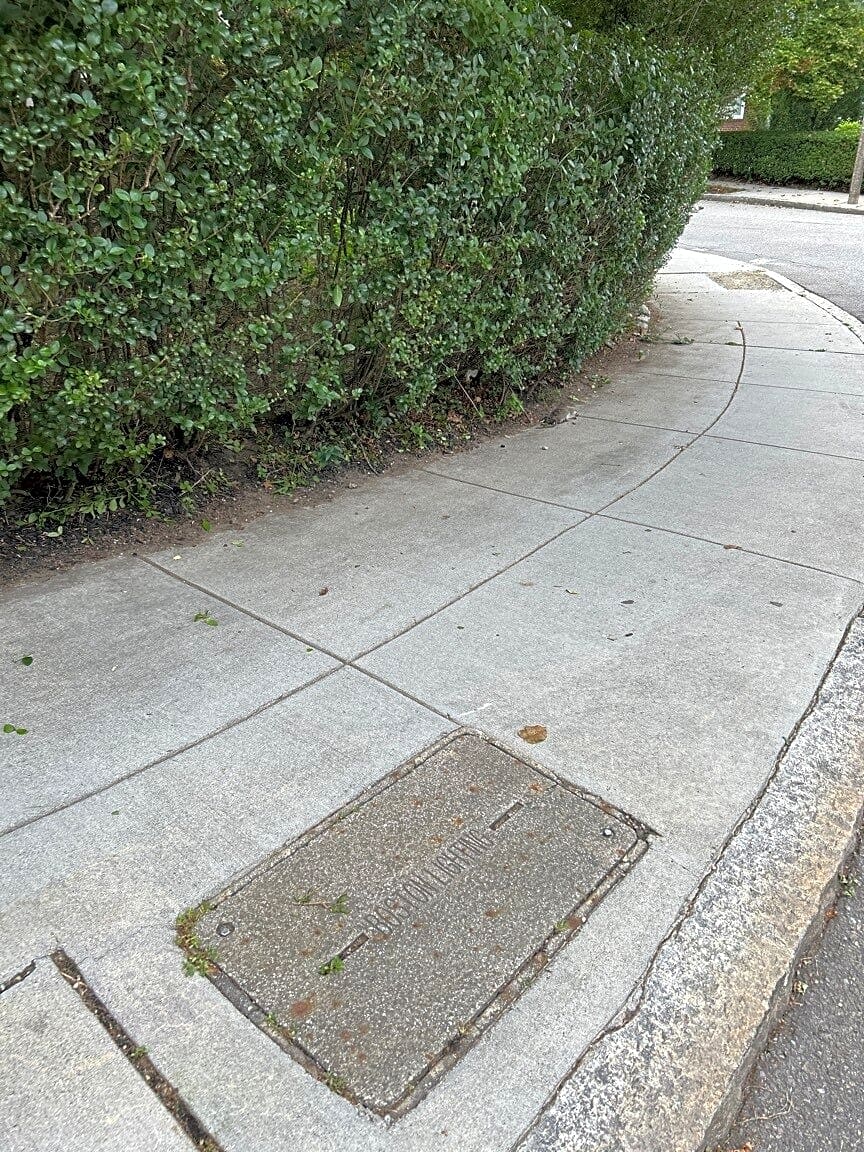 Image submitted with report