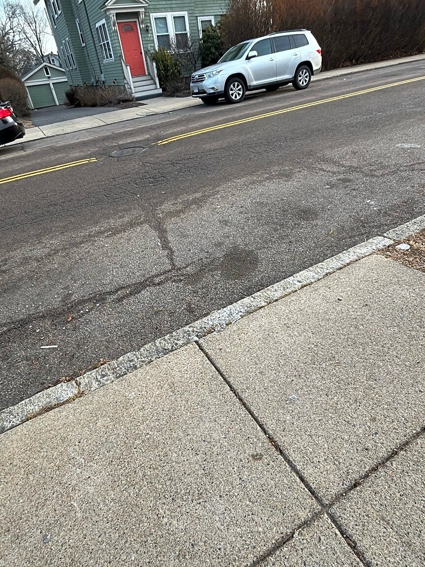 Image submitted with report