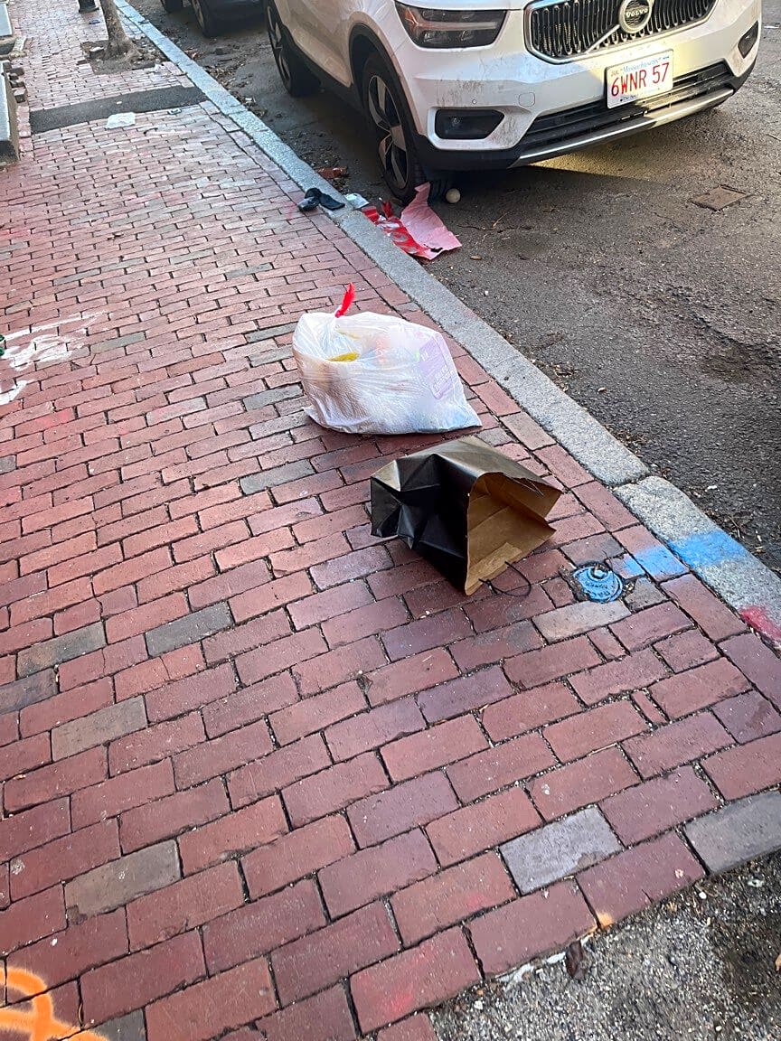 Image submitted with report