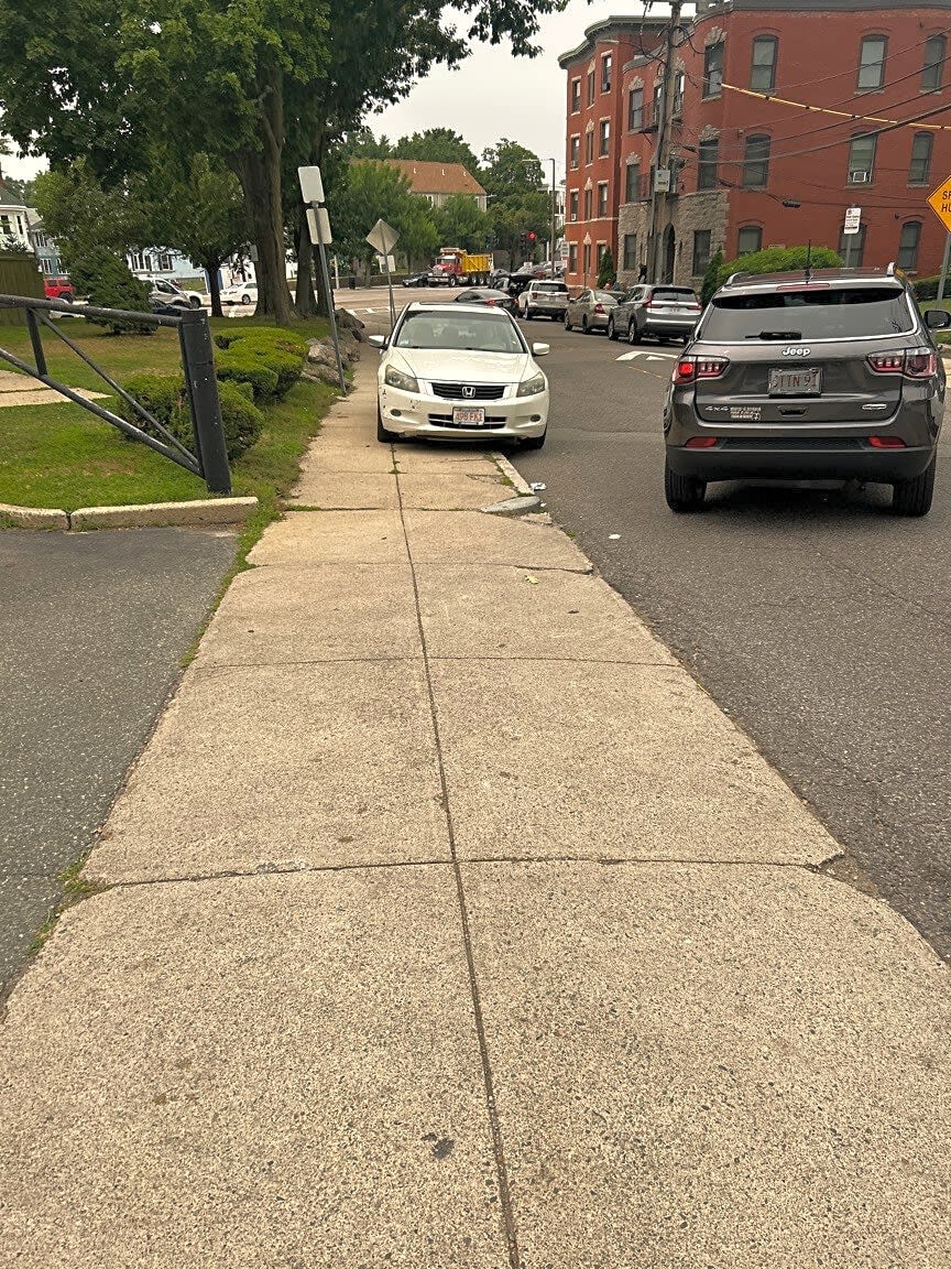 Image submitted with report