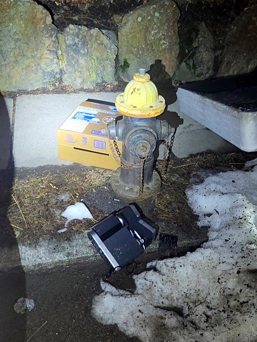 Image submitted with report