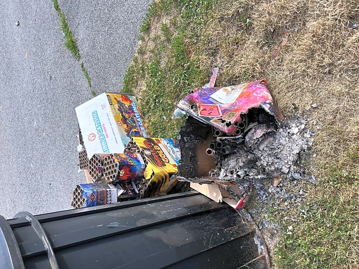 Image submitted with report