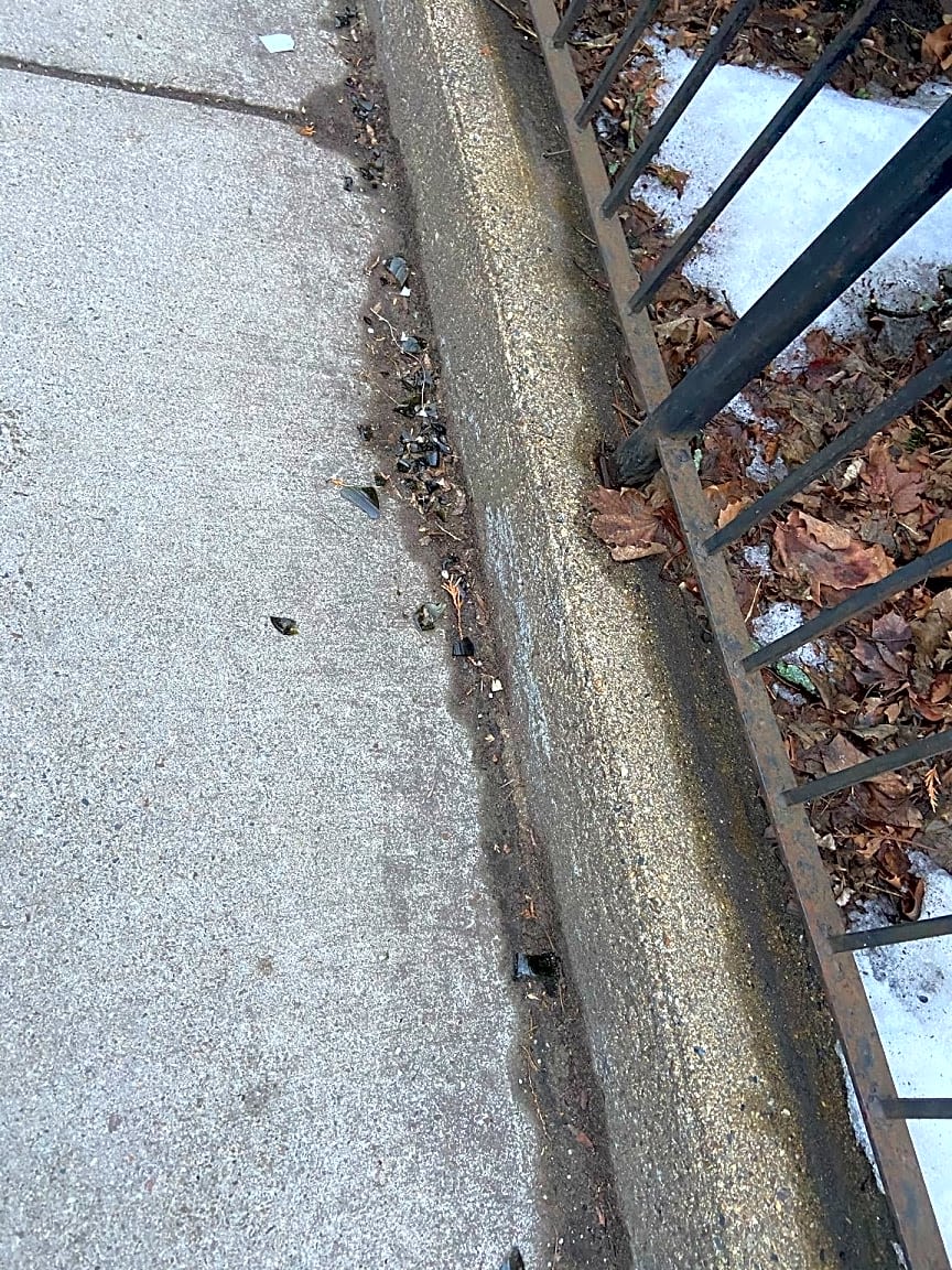 Image submitted with report