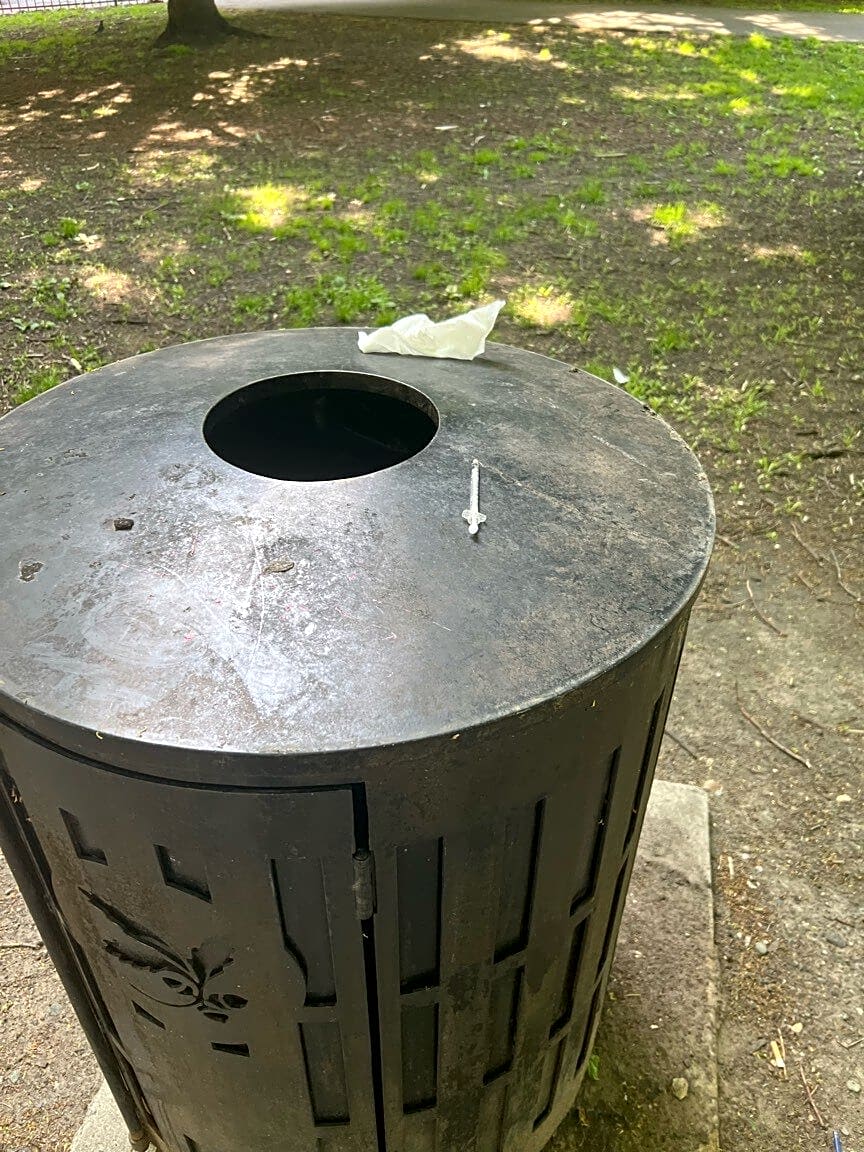 Image submitted with report