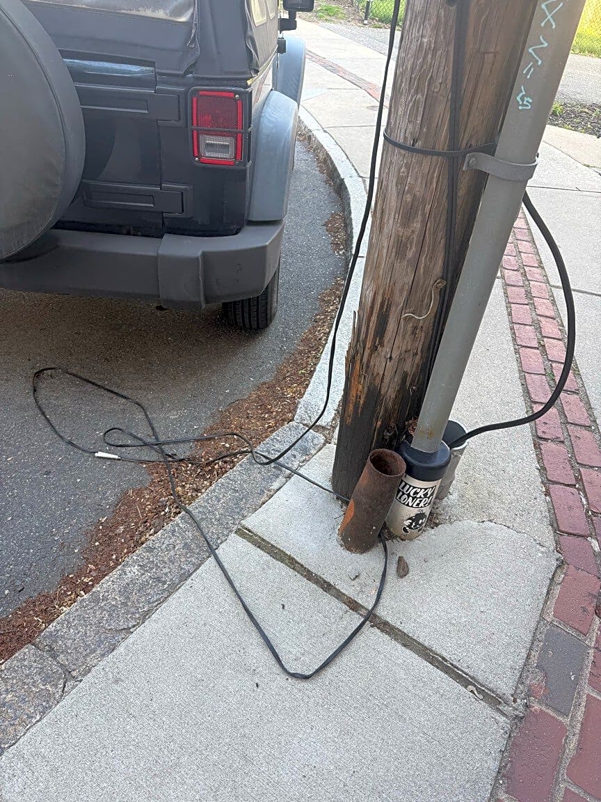 Image submitted with report