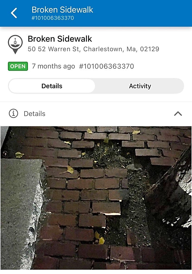 Image submitted with report