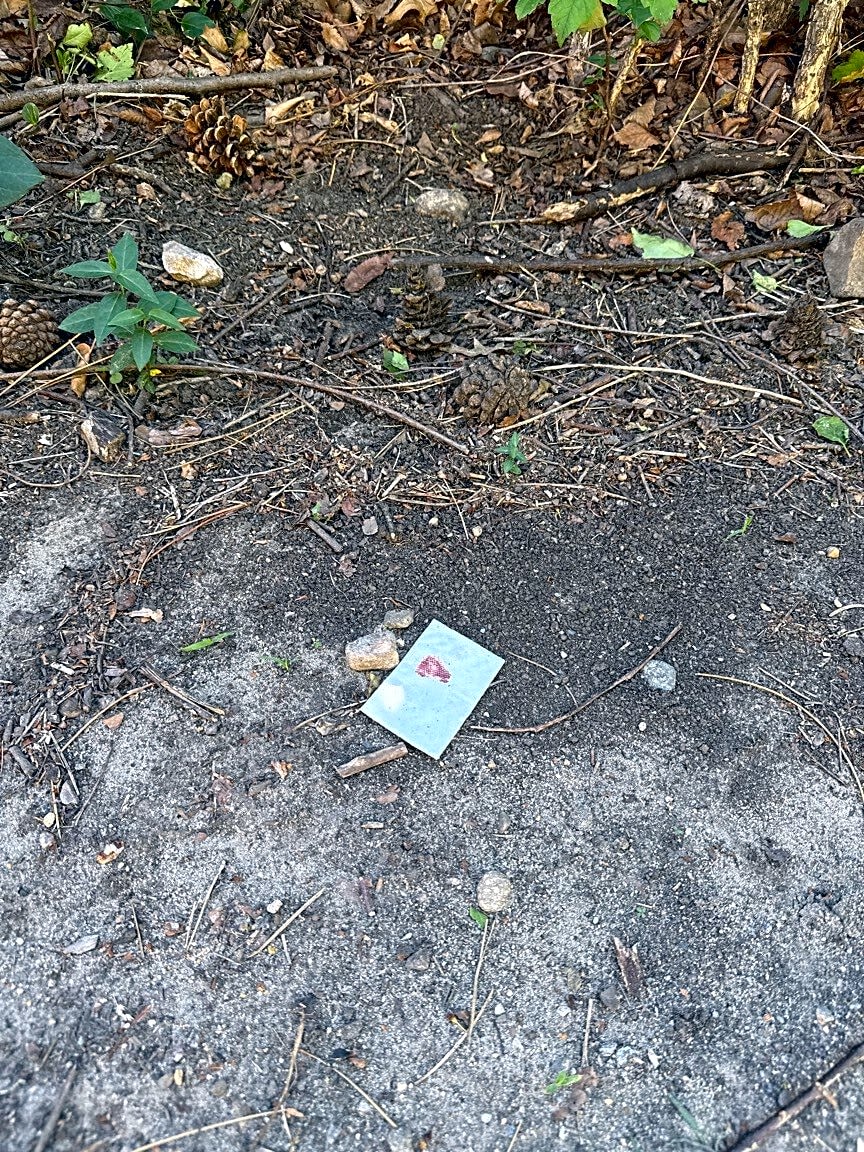 Image submitted with report