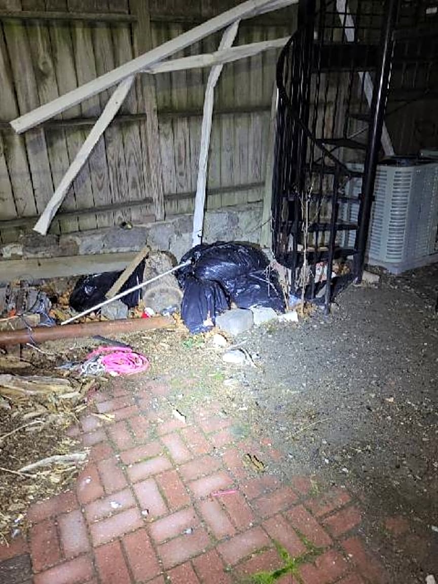 Image submitted with report