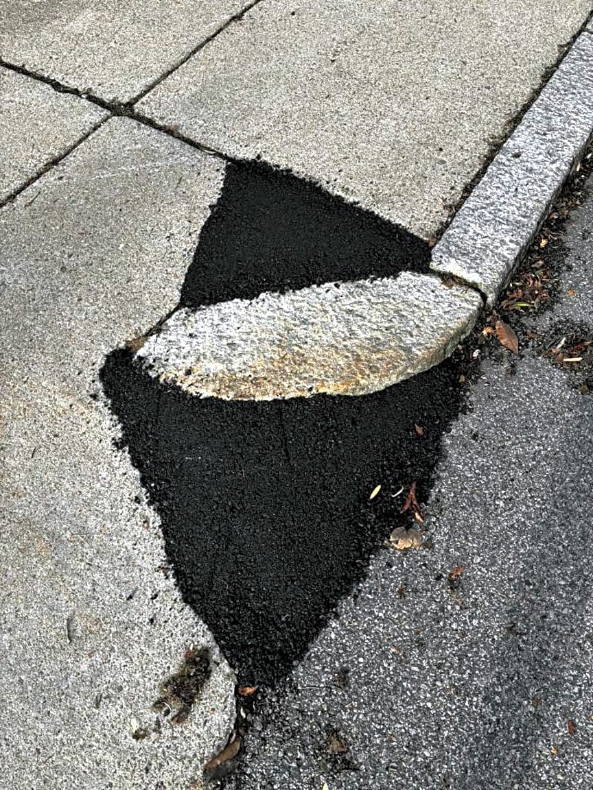 Image submitted with report