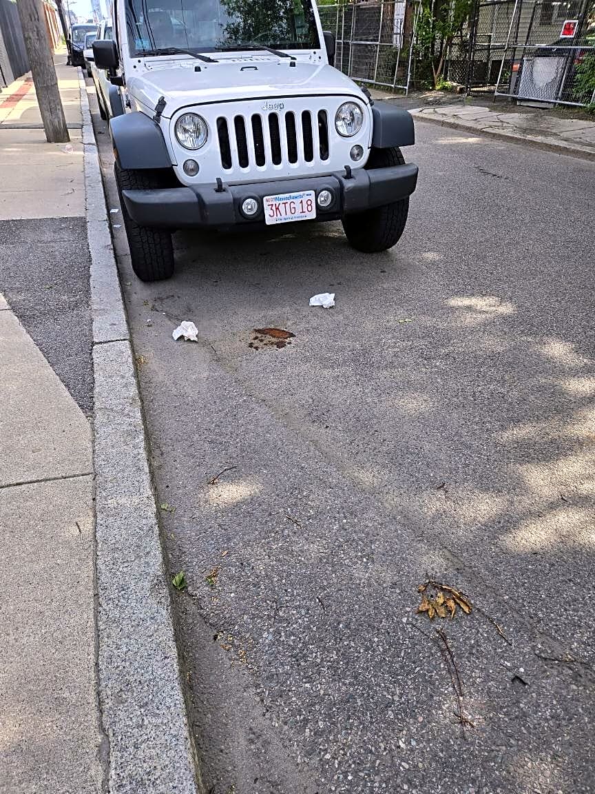 Image submitted with report