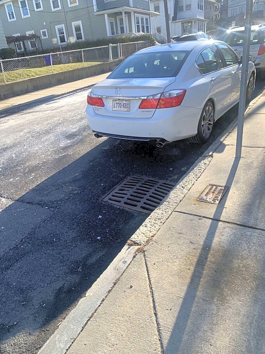 Image submitted with report