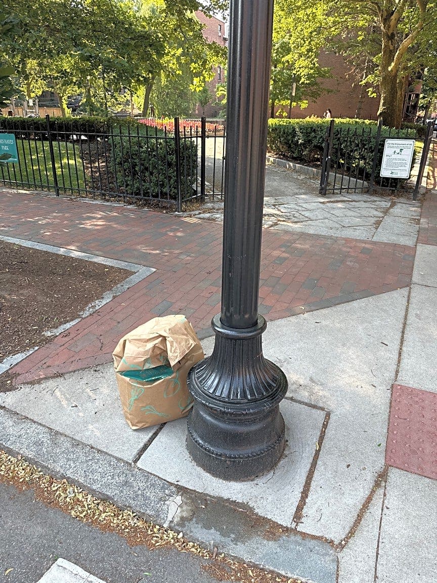 Image submitted with report