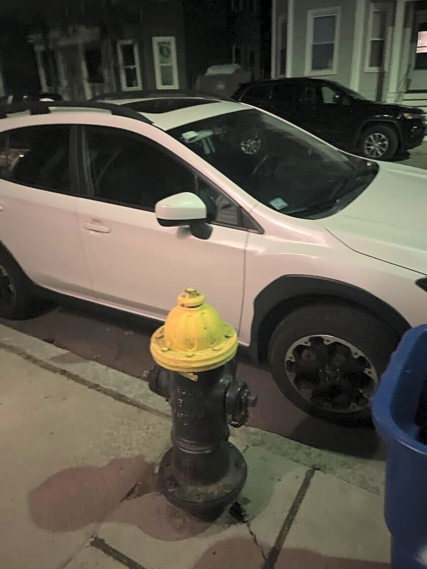Image submitted with report