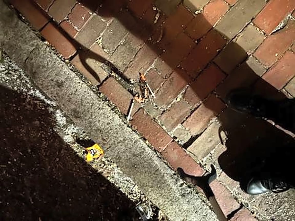 Image submitted with report