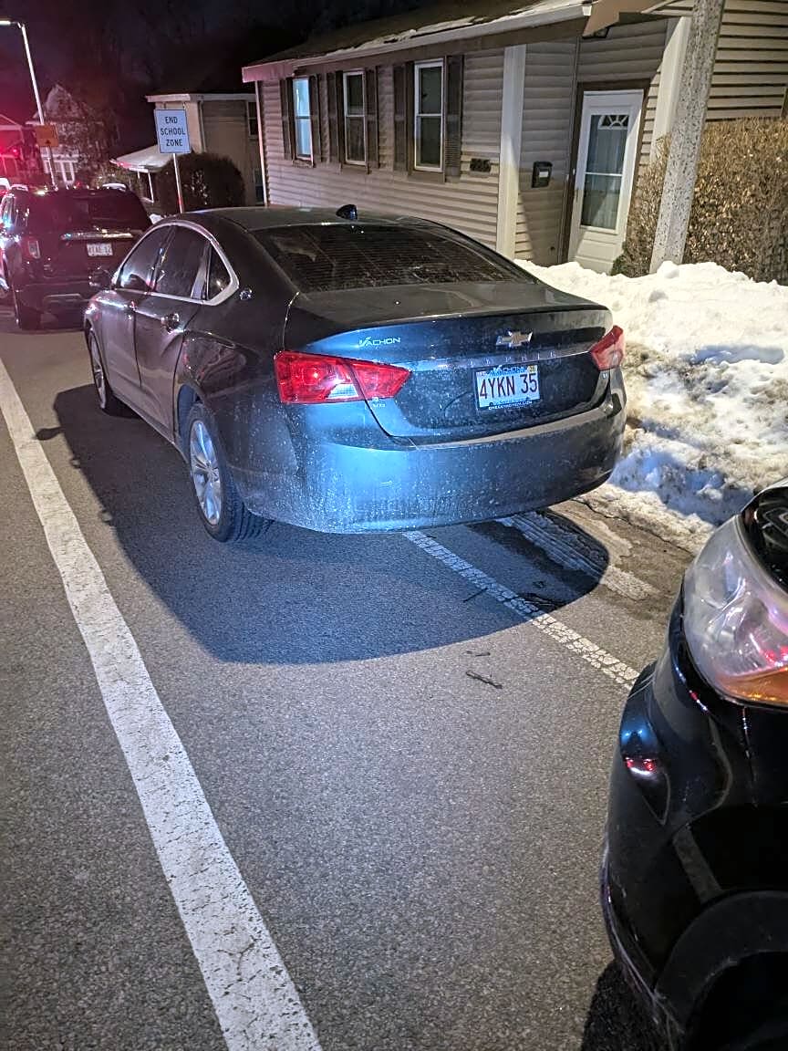 Image submitted with report