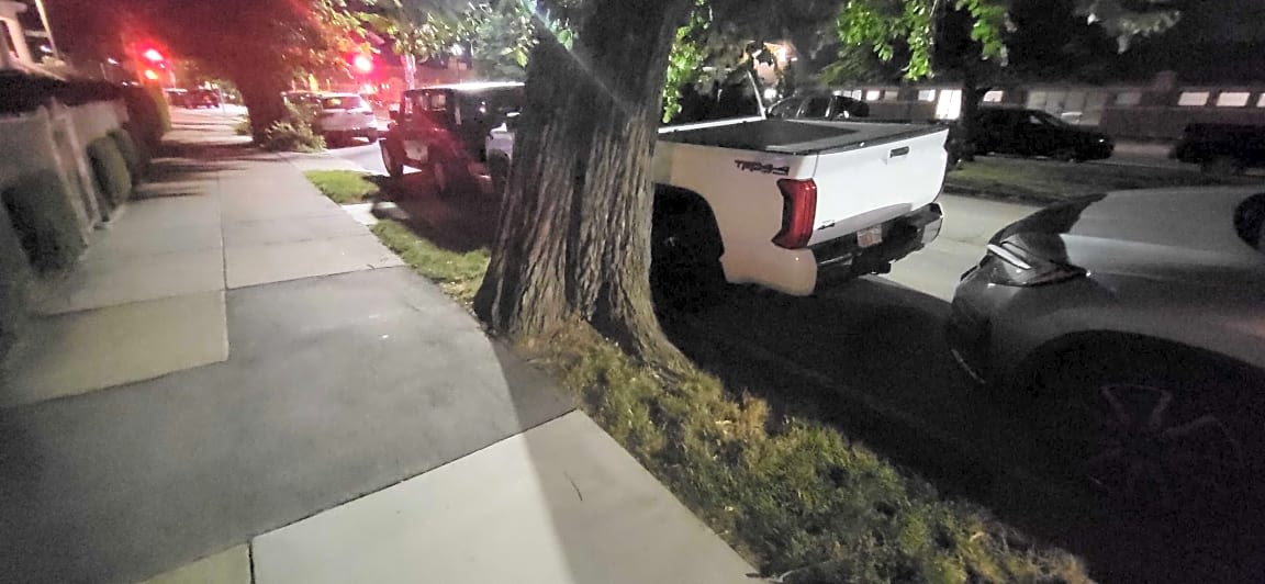 Image submitted with report
