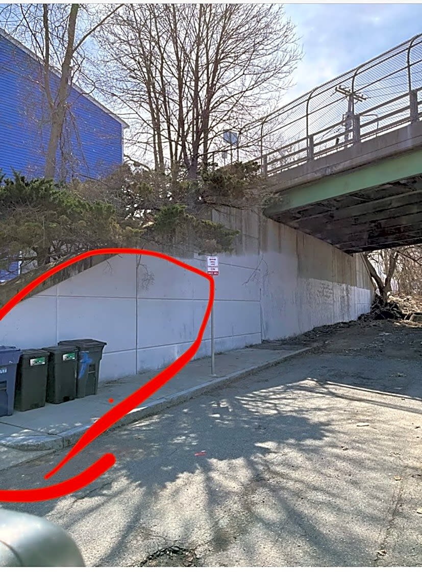 Image submitted with report