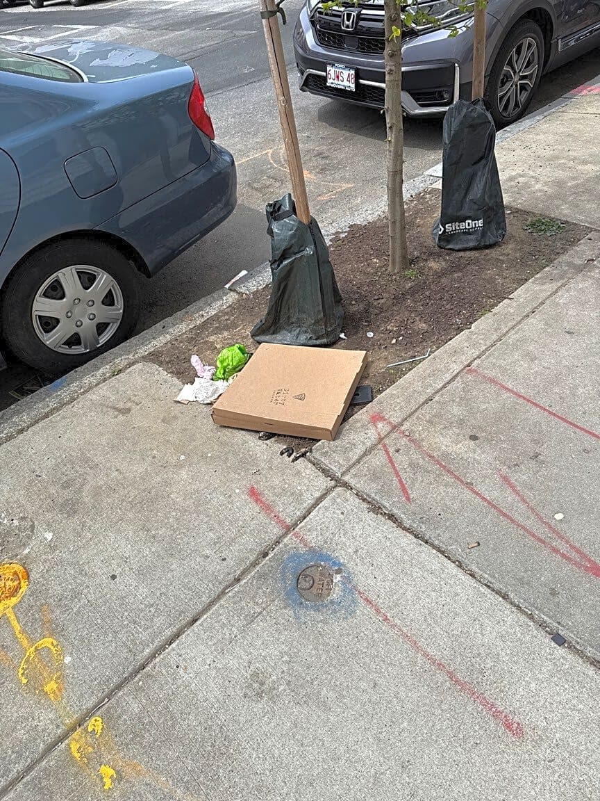 Image submitted with report