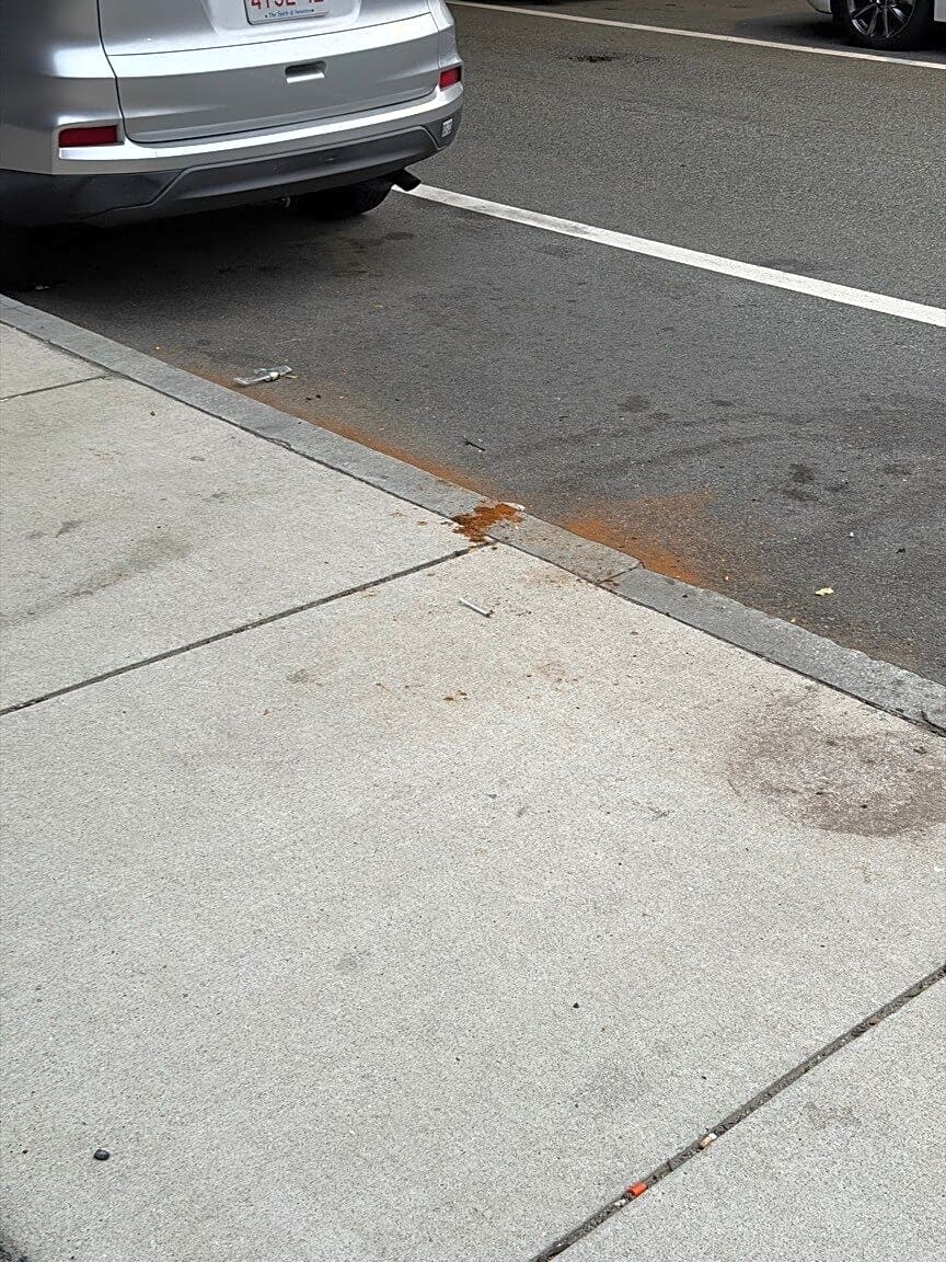 Image submitted with report