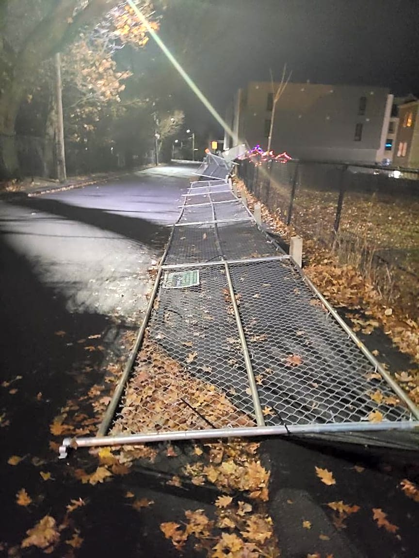 Image submitted with report