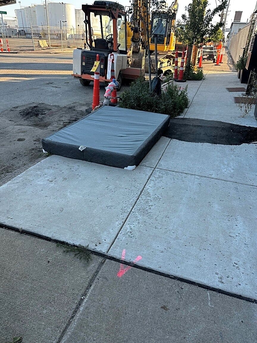 Image submitted with report
