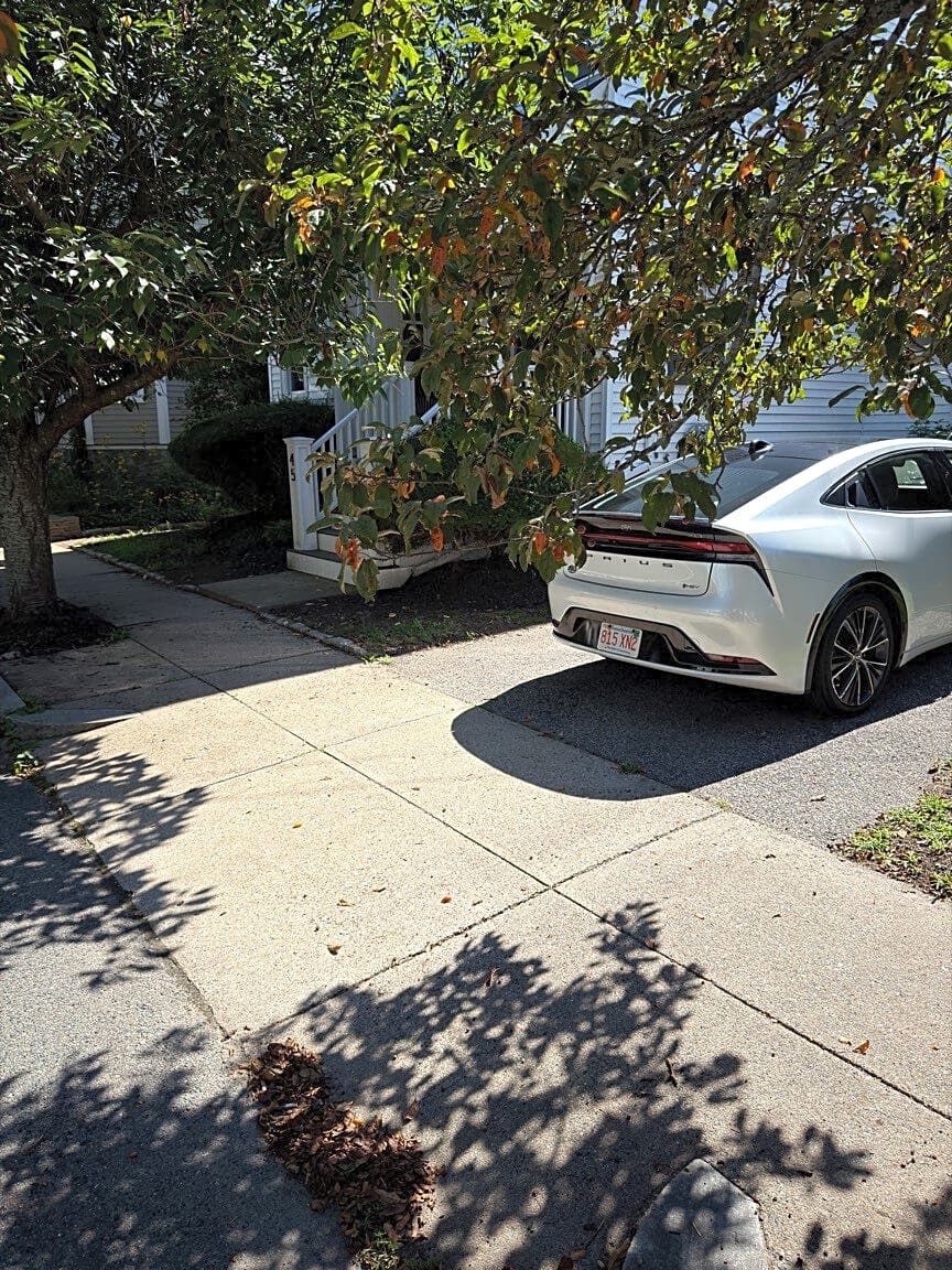 Image submitted with report